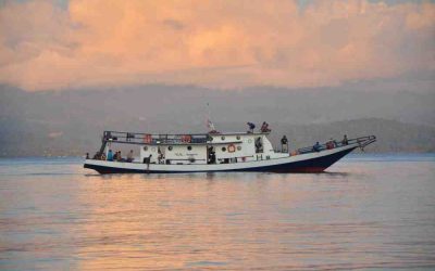 Tauchreise Sulawesi 2017 – 2018