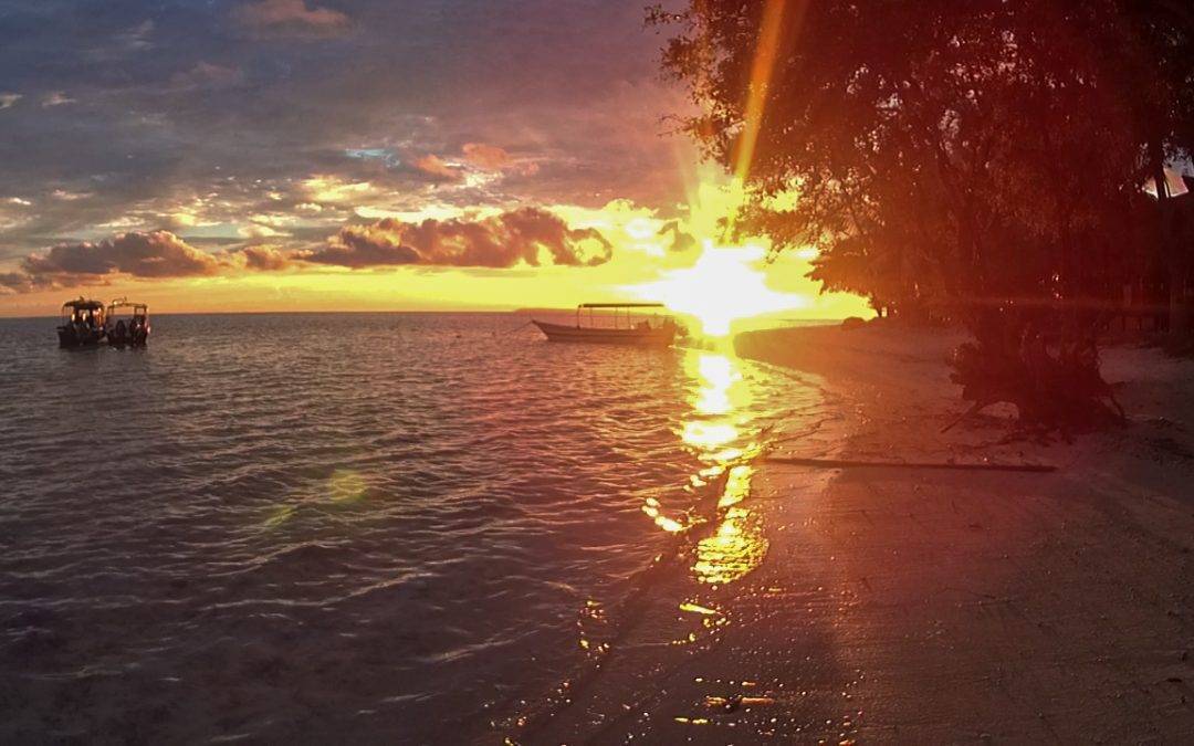 Tauchreise Maratua-Atoll, Indonesien